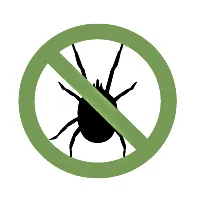 Bed Bug Control Mareeba - Mareeba Pest Control