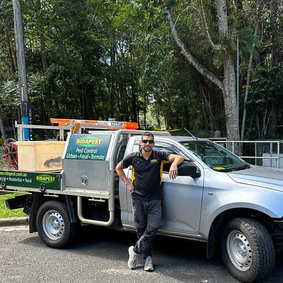 Local Cairns Pest Control Specialist