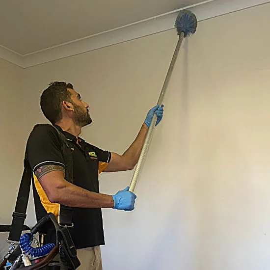 Professional Spider Control Cairns