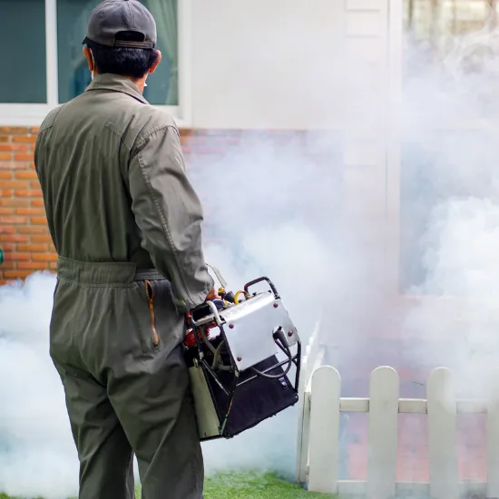 Mosquito Control in Cairns Fogging