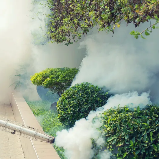 Mosquito Control in Cairns Fogging